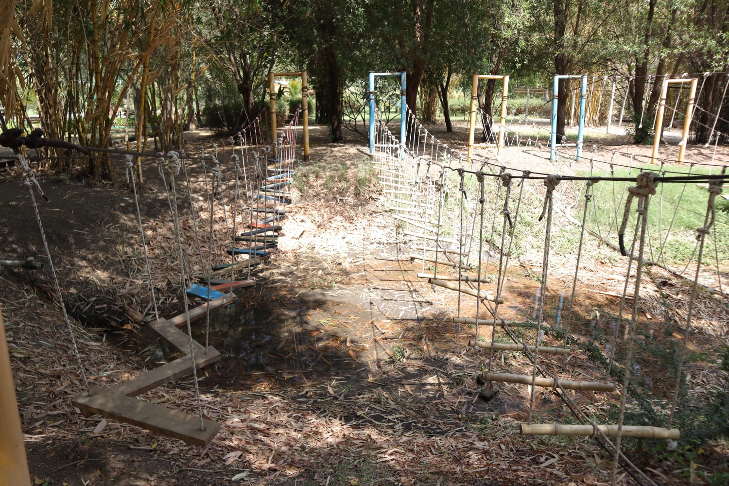 Gallery Image 6
