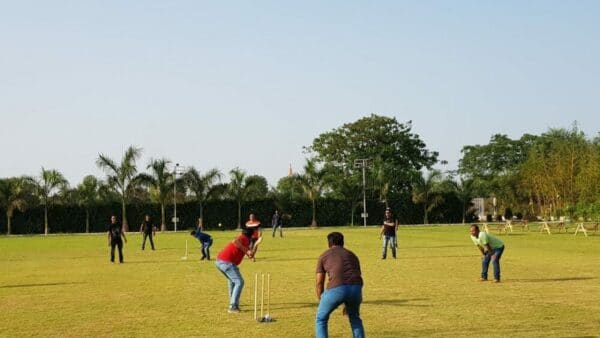 Cricket